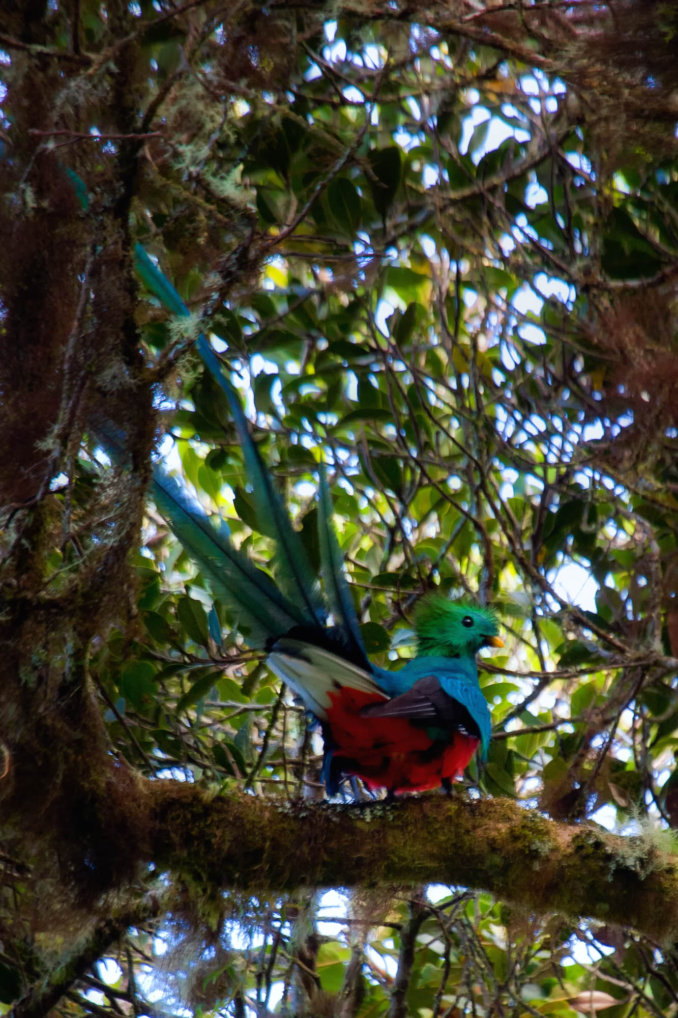 Costa Rica