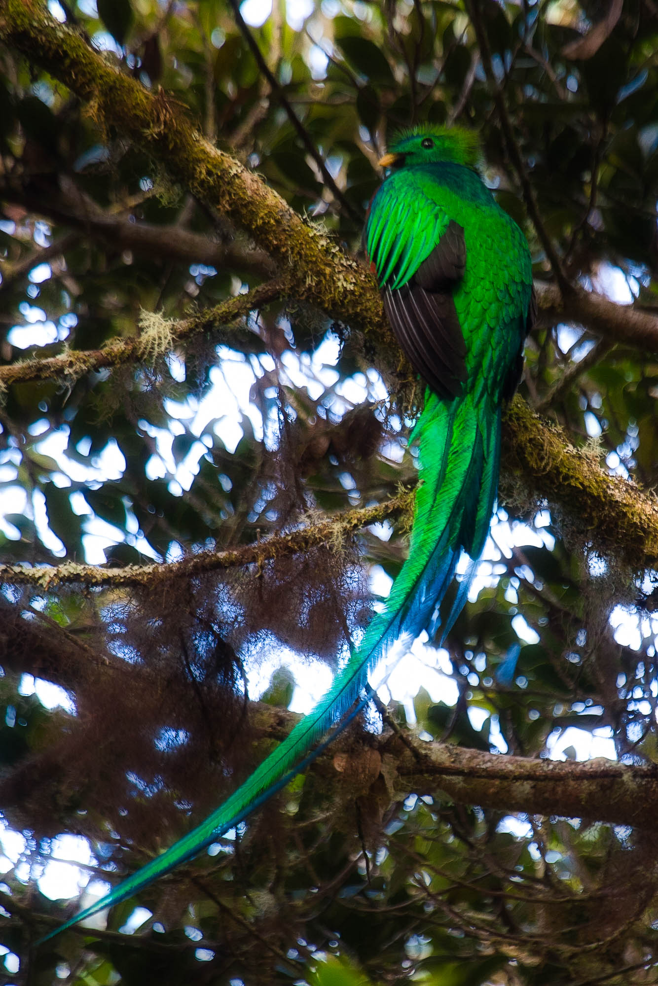 Costa Rica