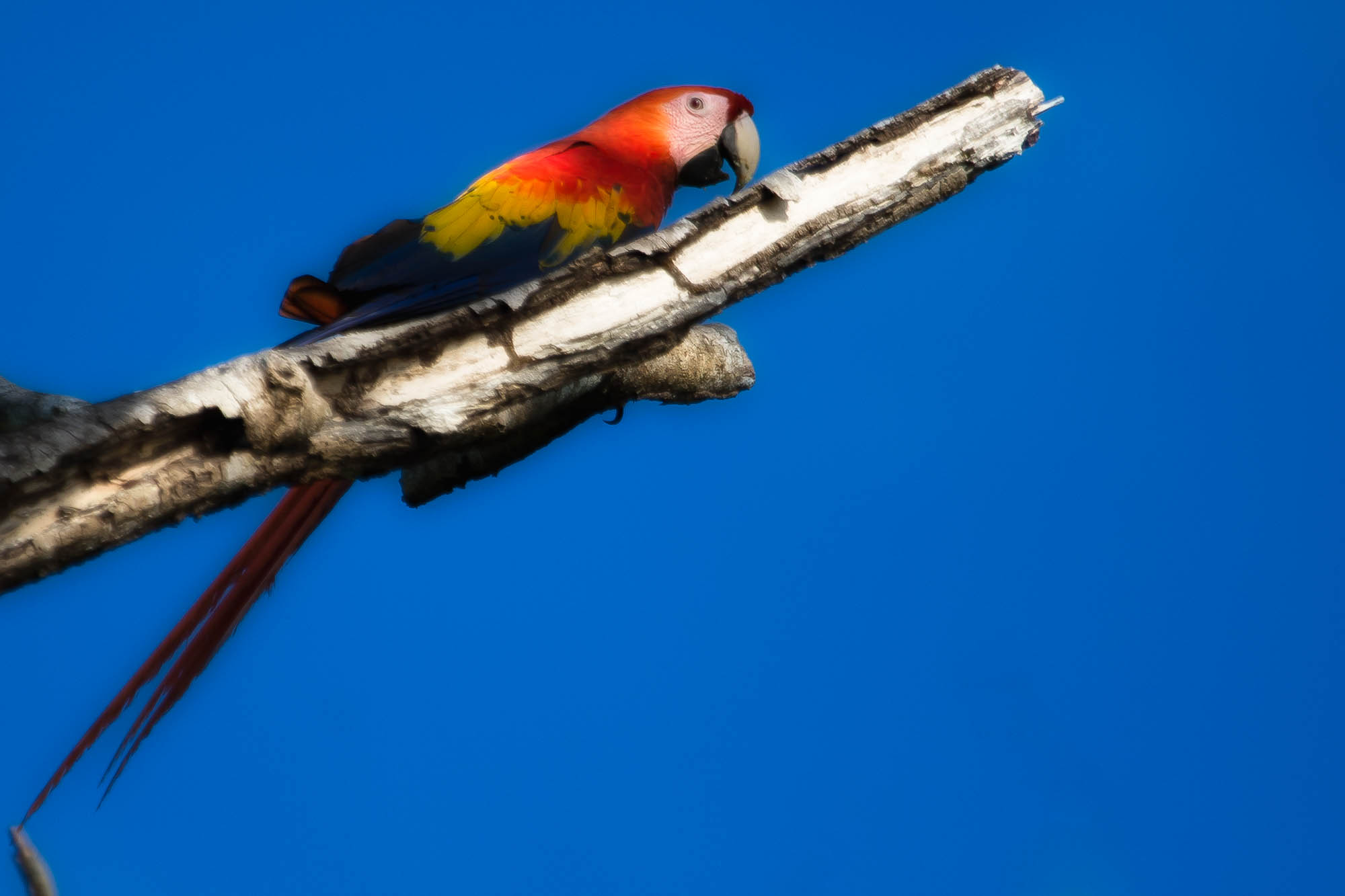 Costa Rica