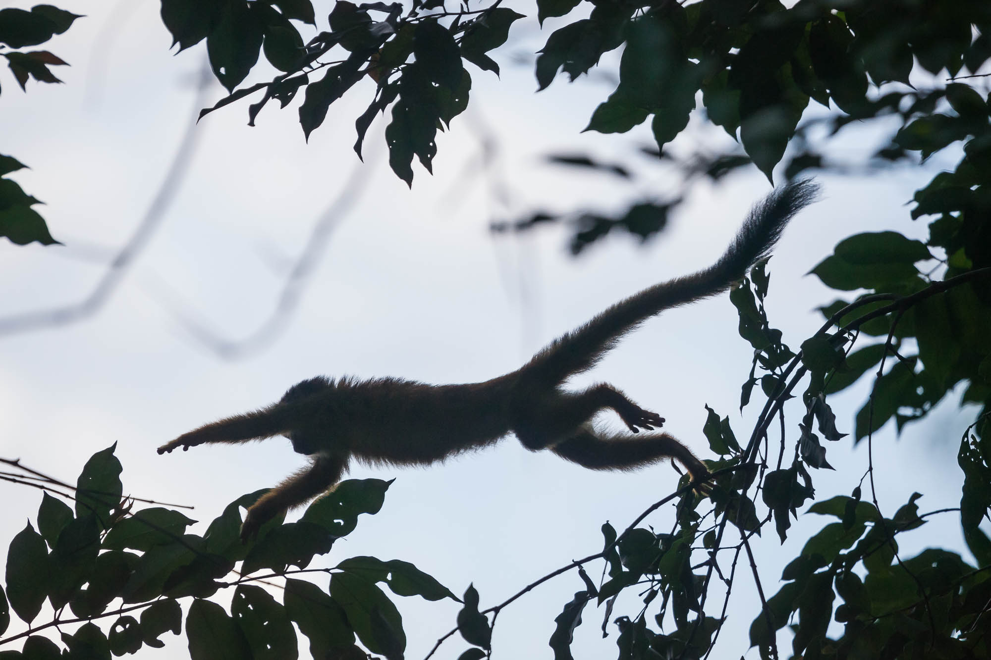 Costa Rica