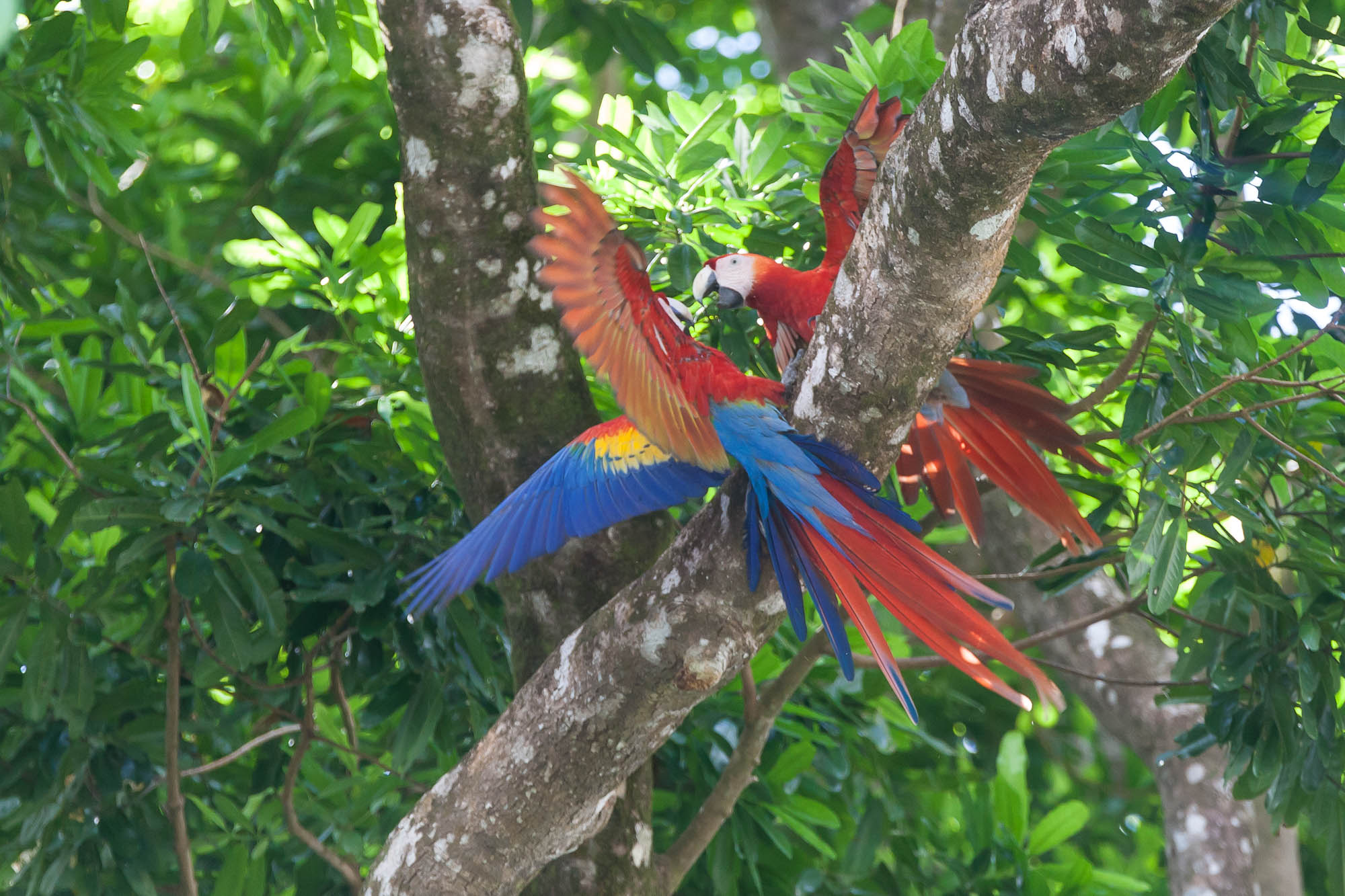 Costa Rica