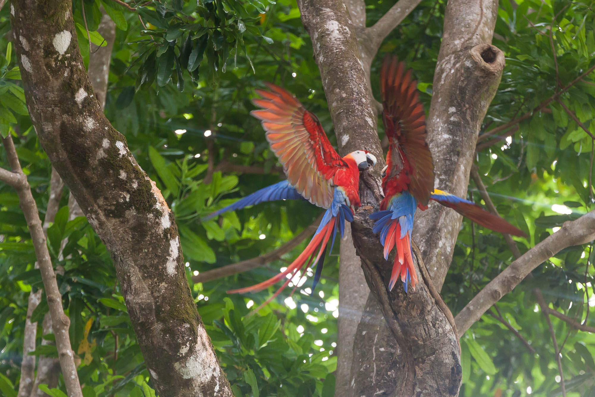 Costa Rica