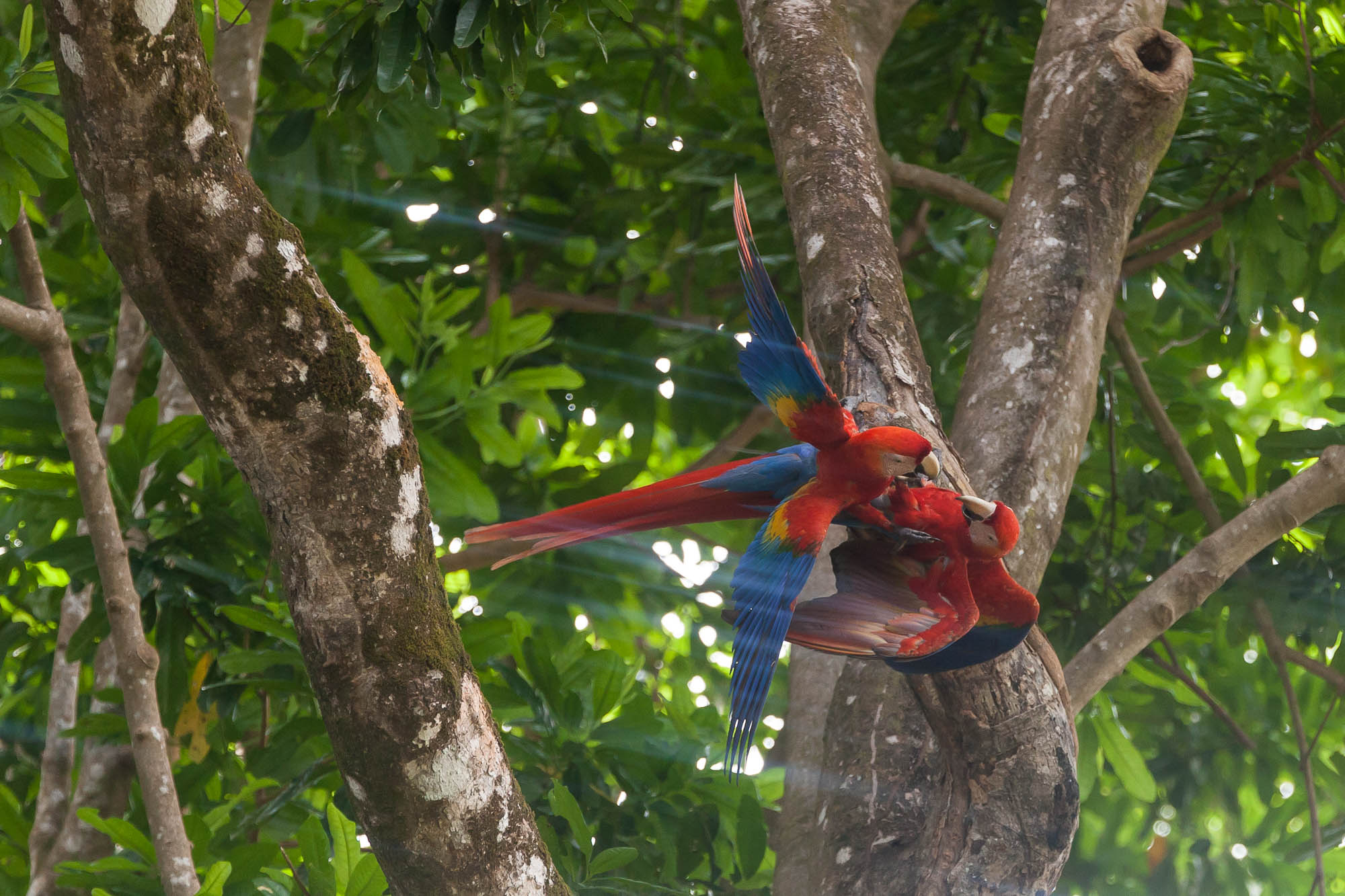 Costa Rica