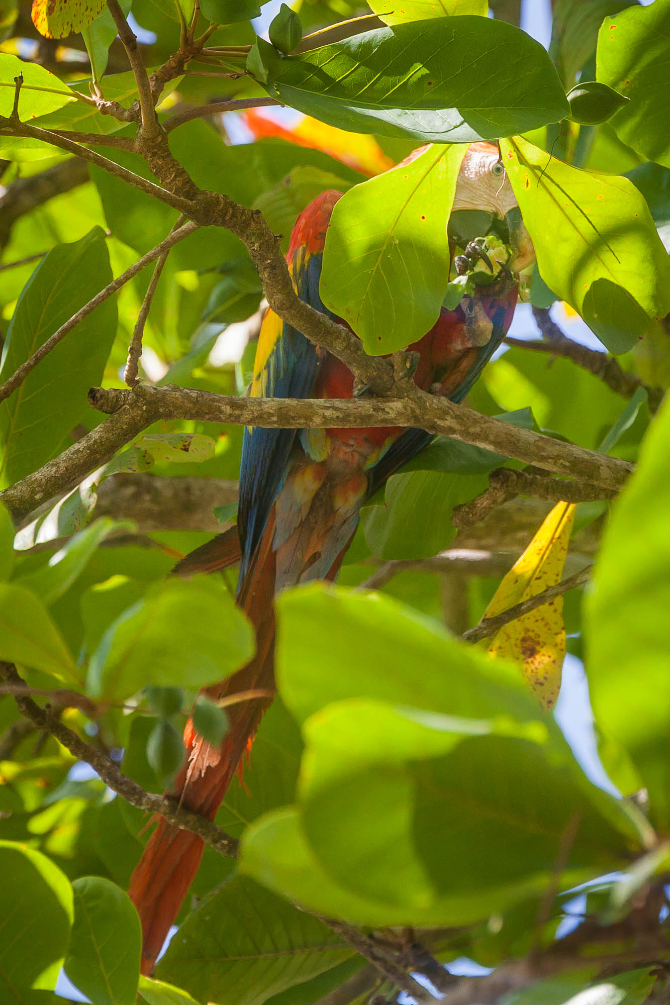 Costa Rica