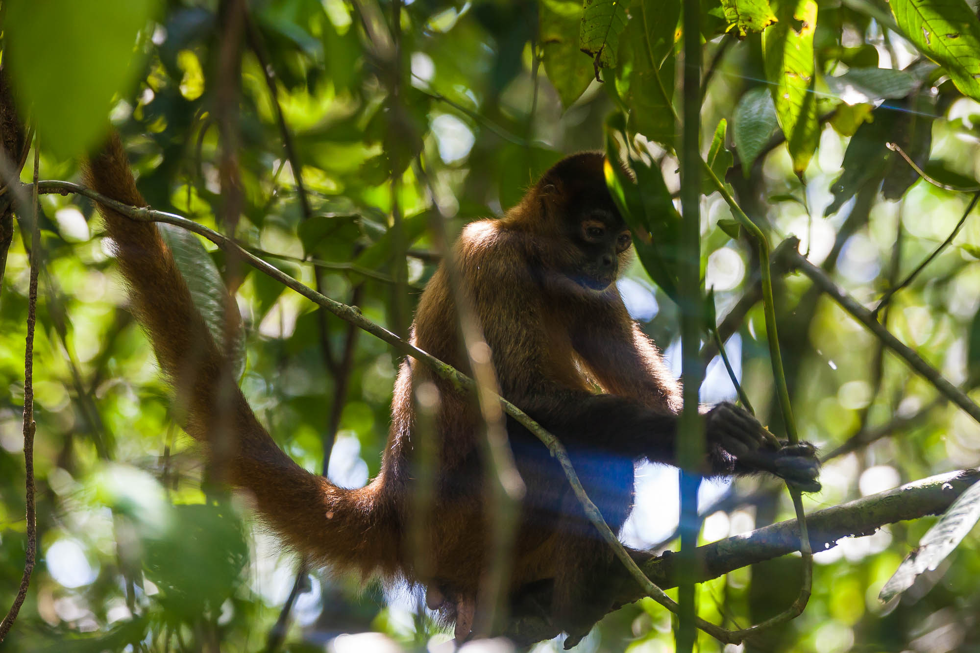 Costa Rica