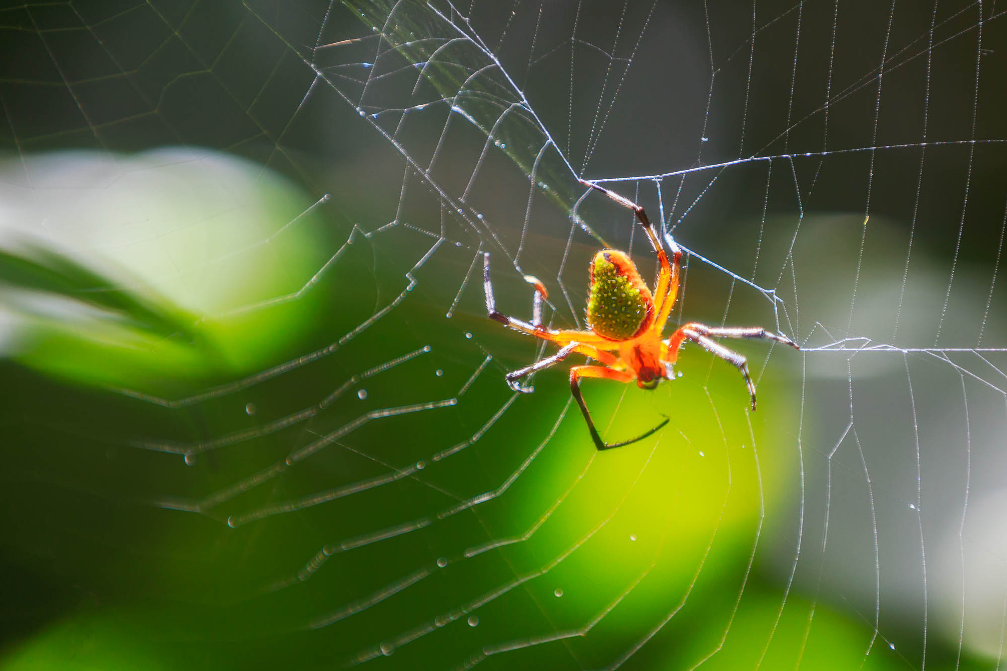 Costa Rica