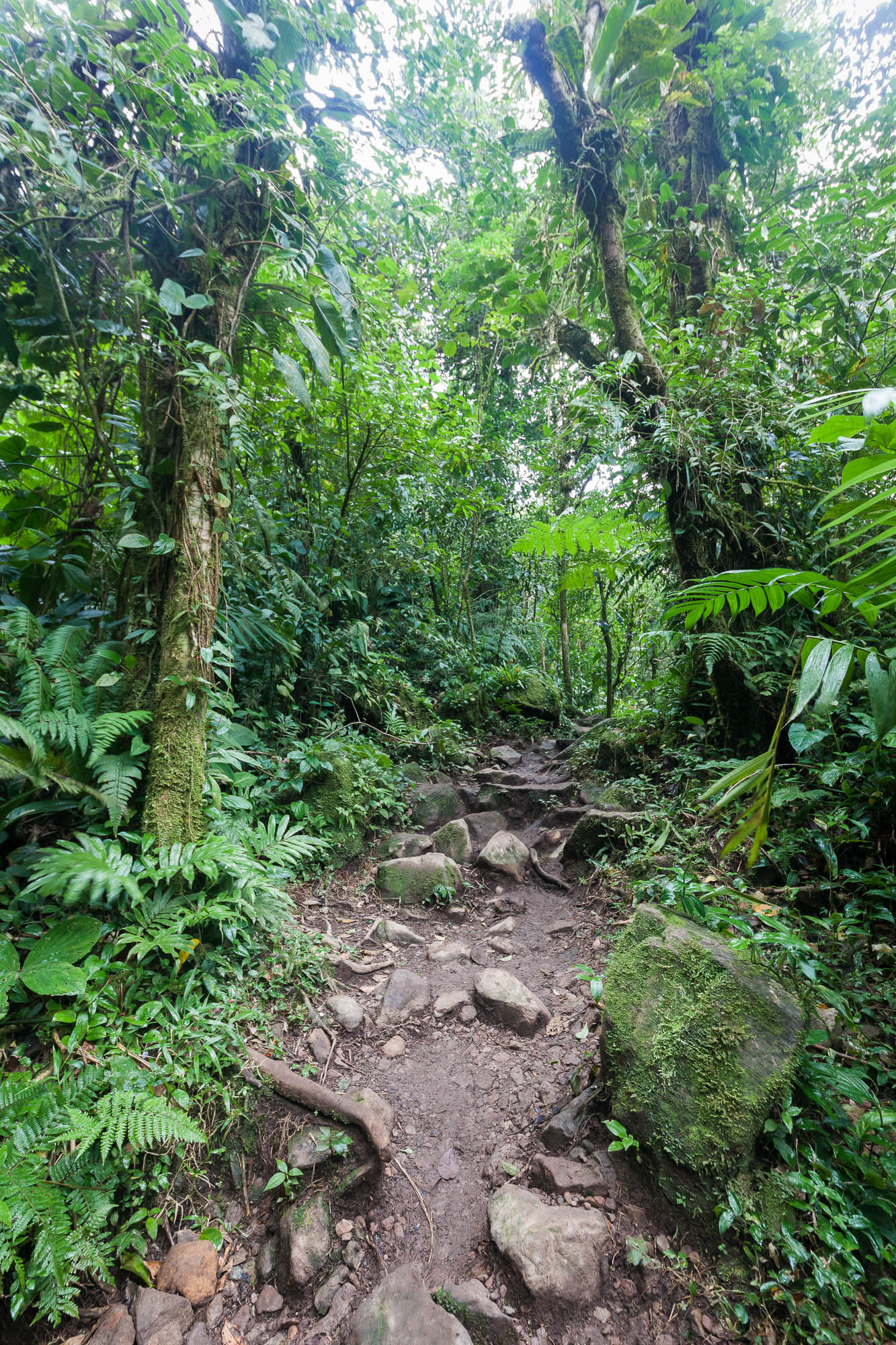Costa Rica