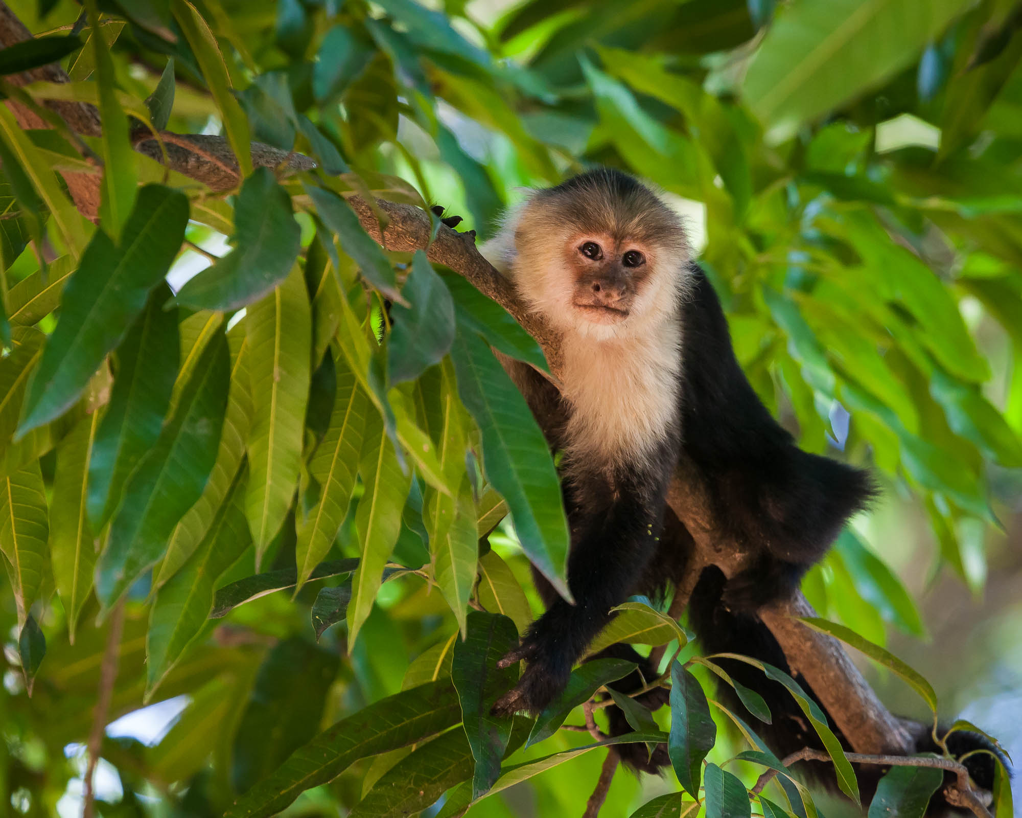 Costa Rica