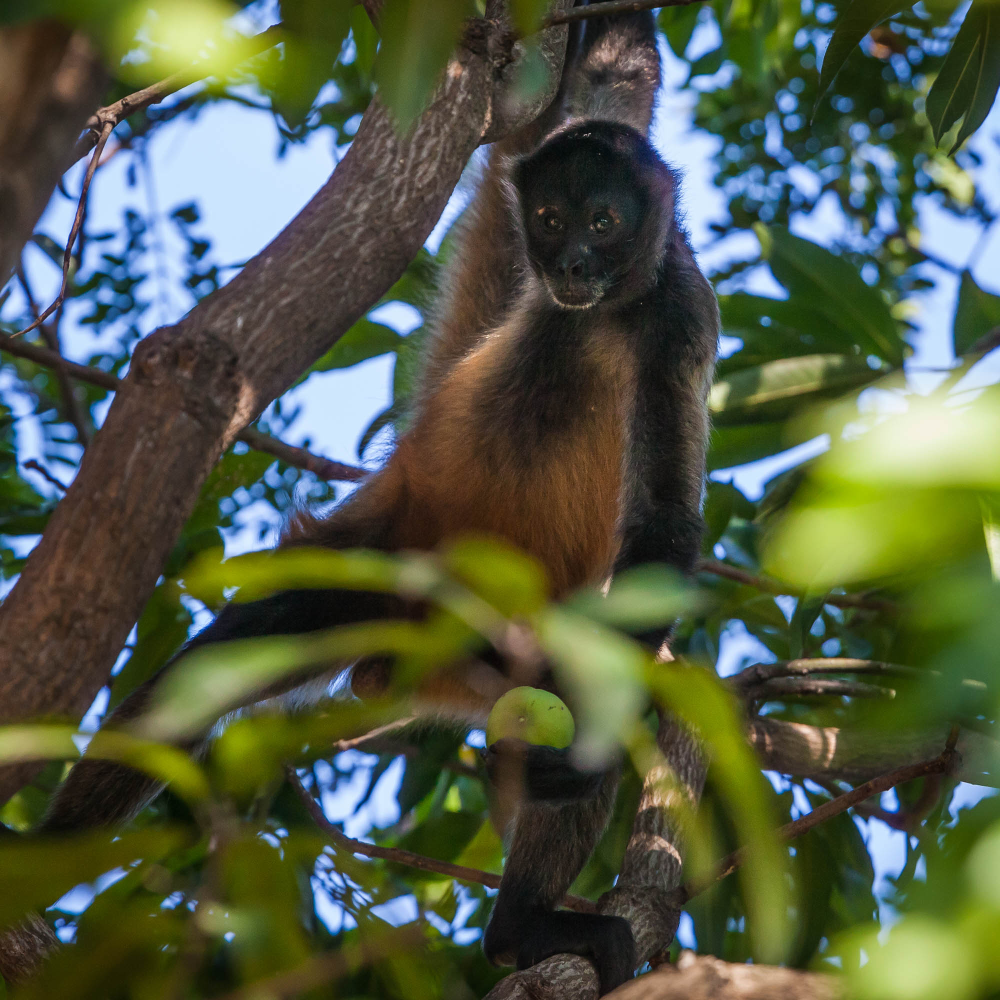 Costa Rica