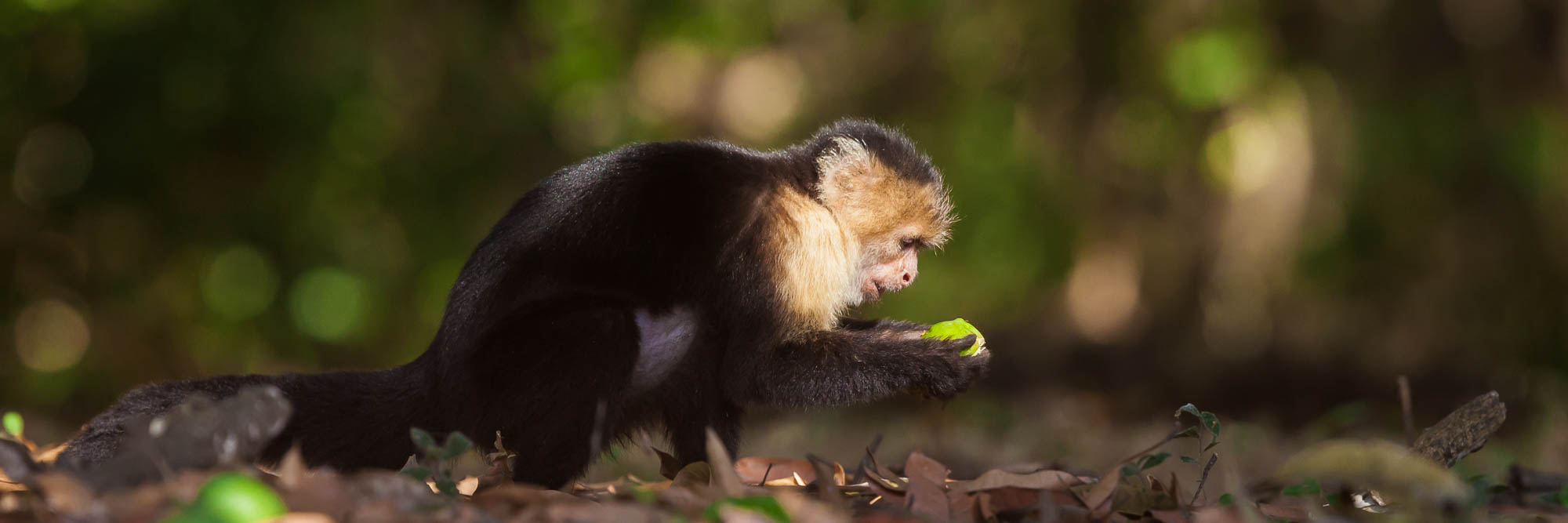 Costa Rica