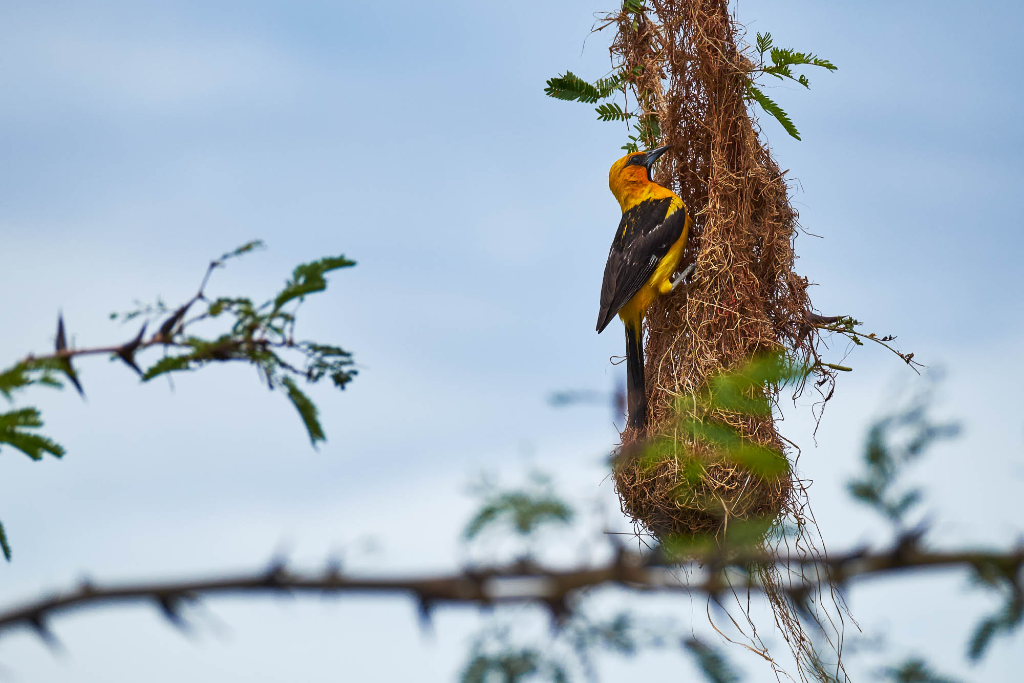 Nicaragua