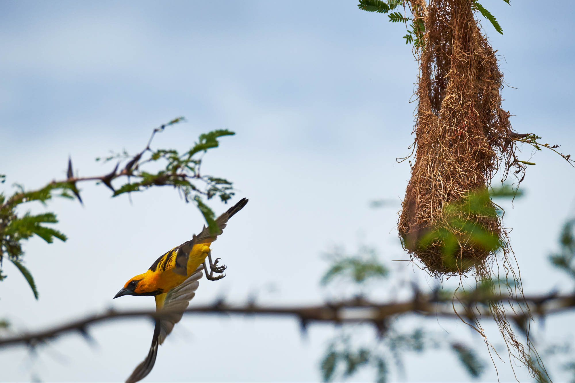 Nicaragua