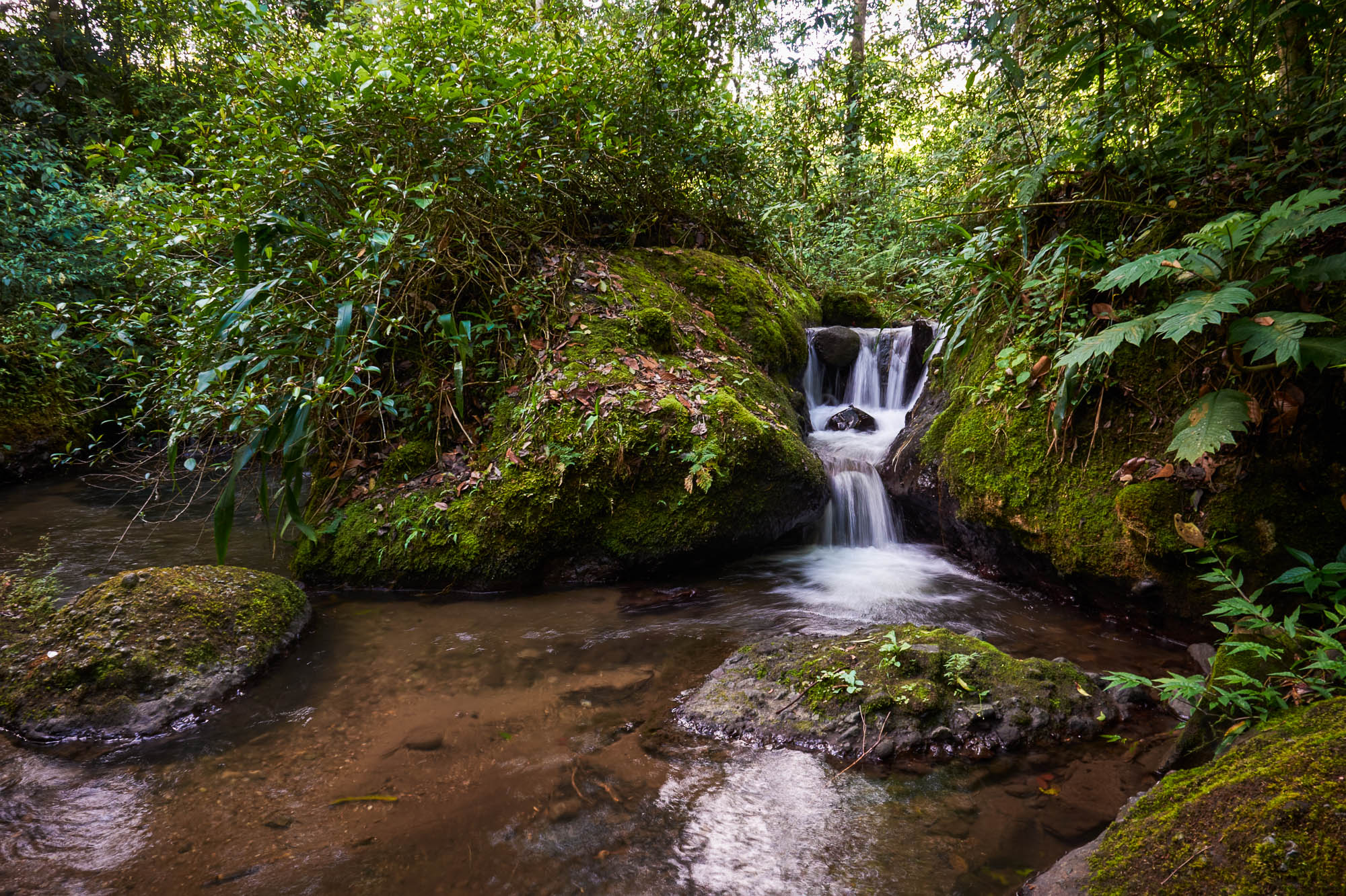 Nicaragua