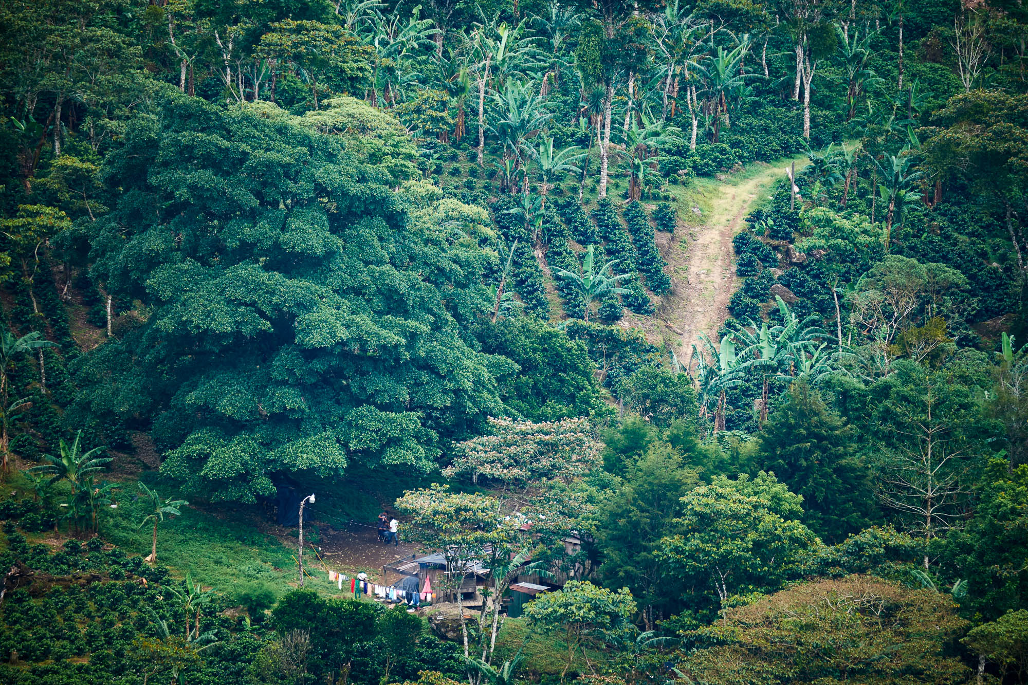 Nicaragua