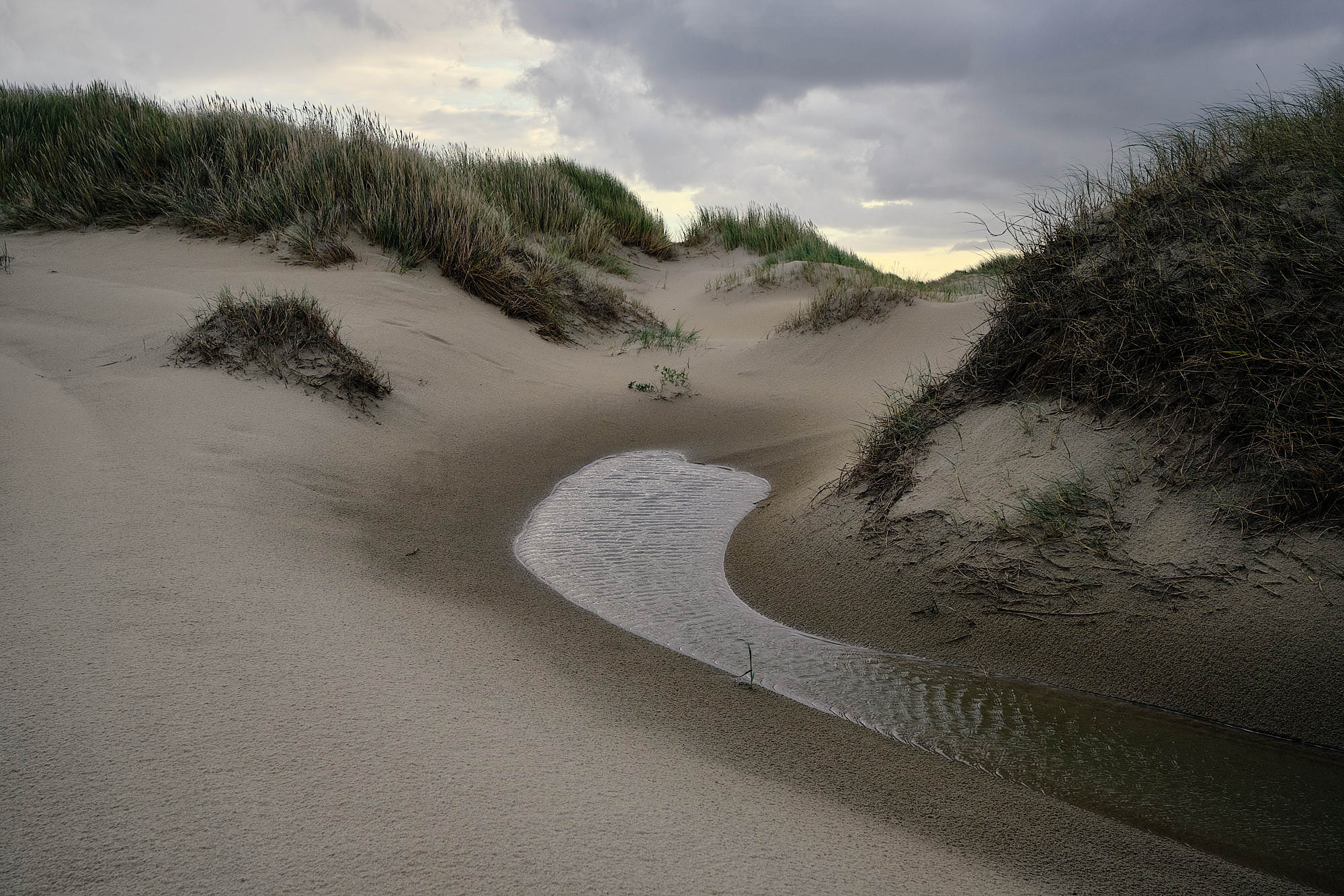 Niederlande - Texel / Netherlands - Texel