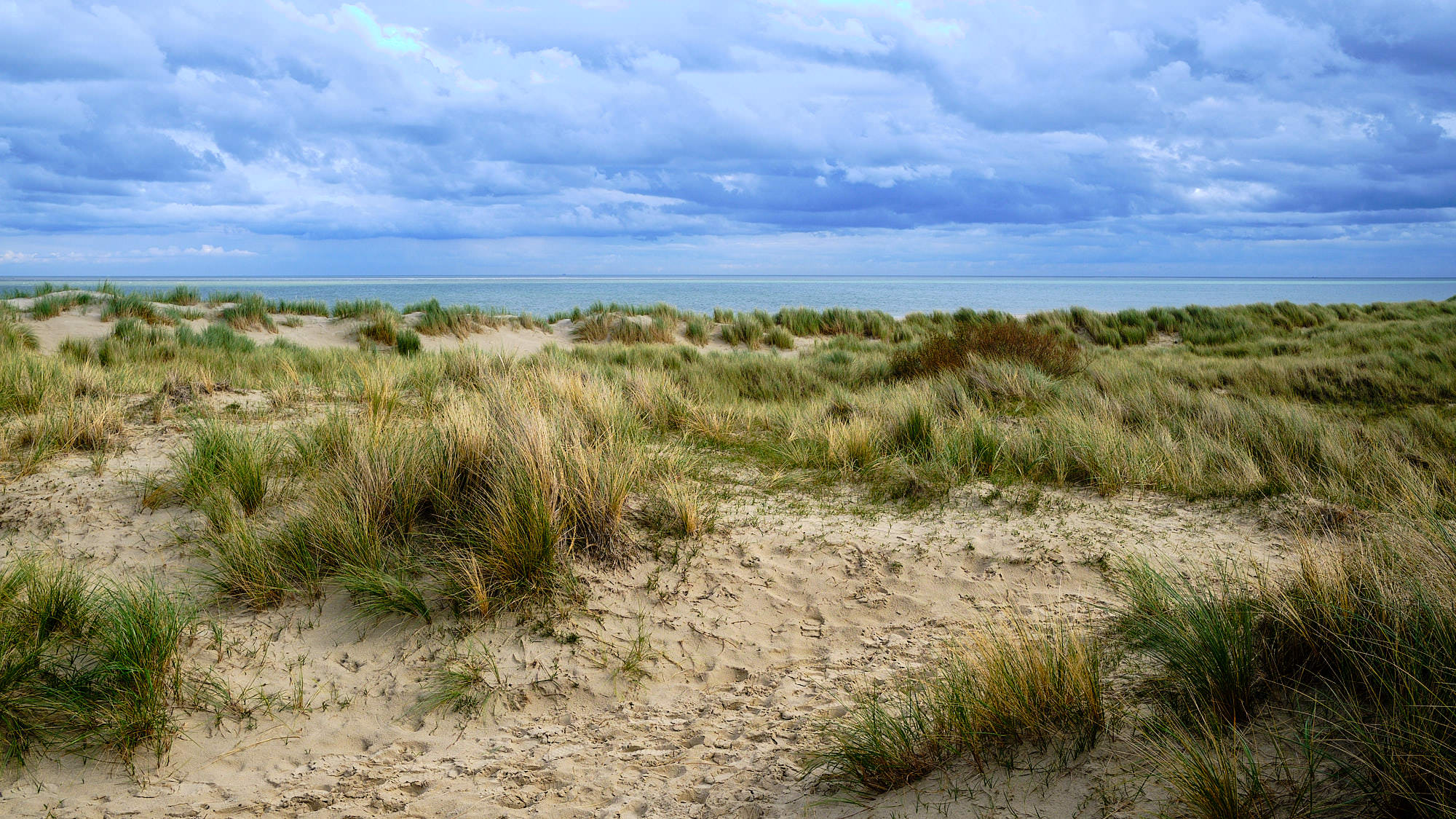 Niederlande - Texel / Netherlands - Texel