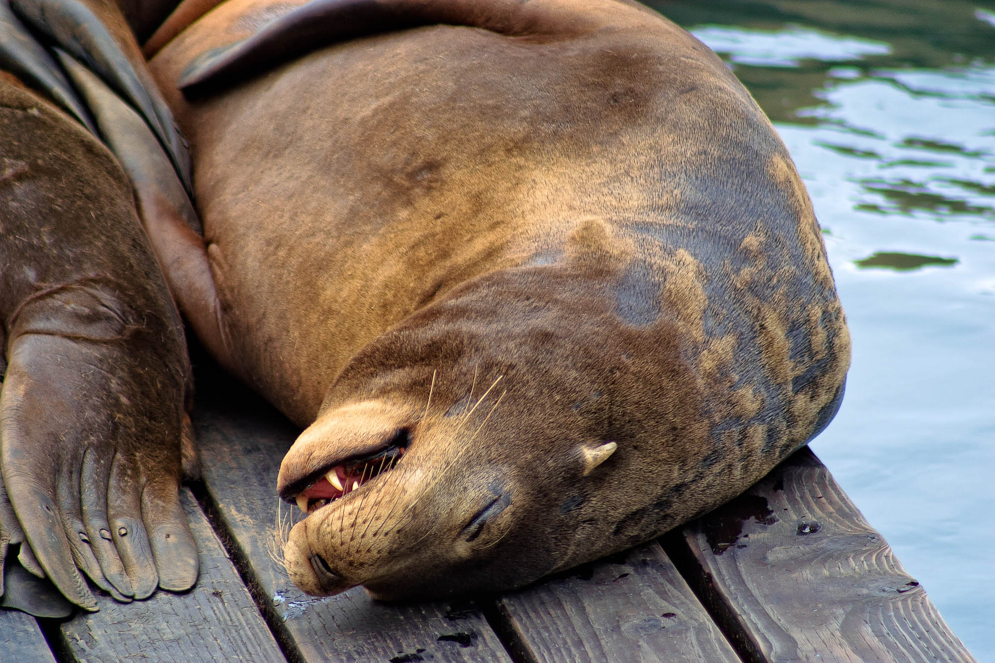 USA - Kalifornien / California