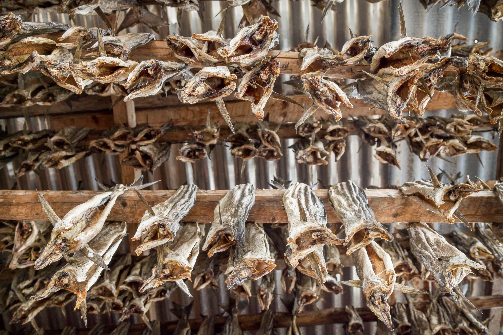 Flostrandveien, Utskarpen, Bindal