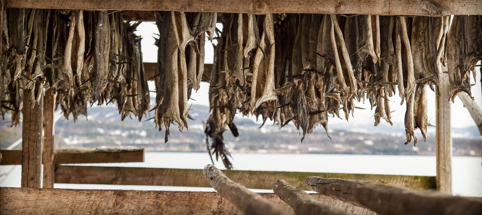 Flostrandveien, Utskarpen, Bindal