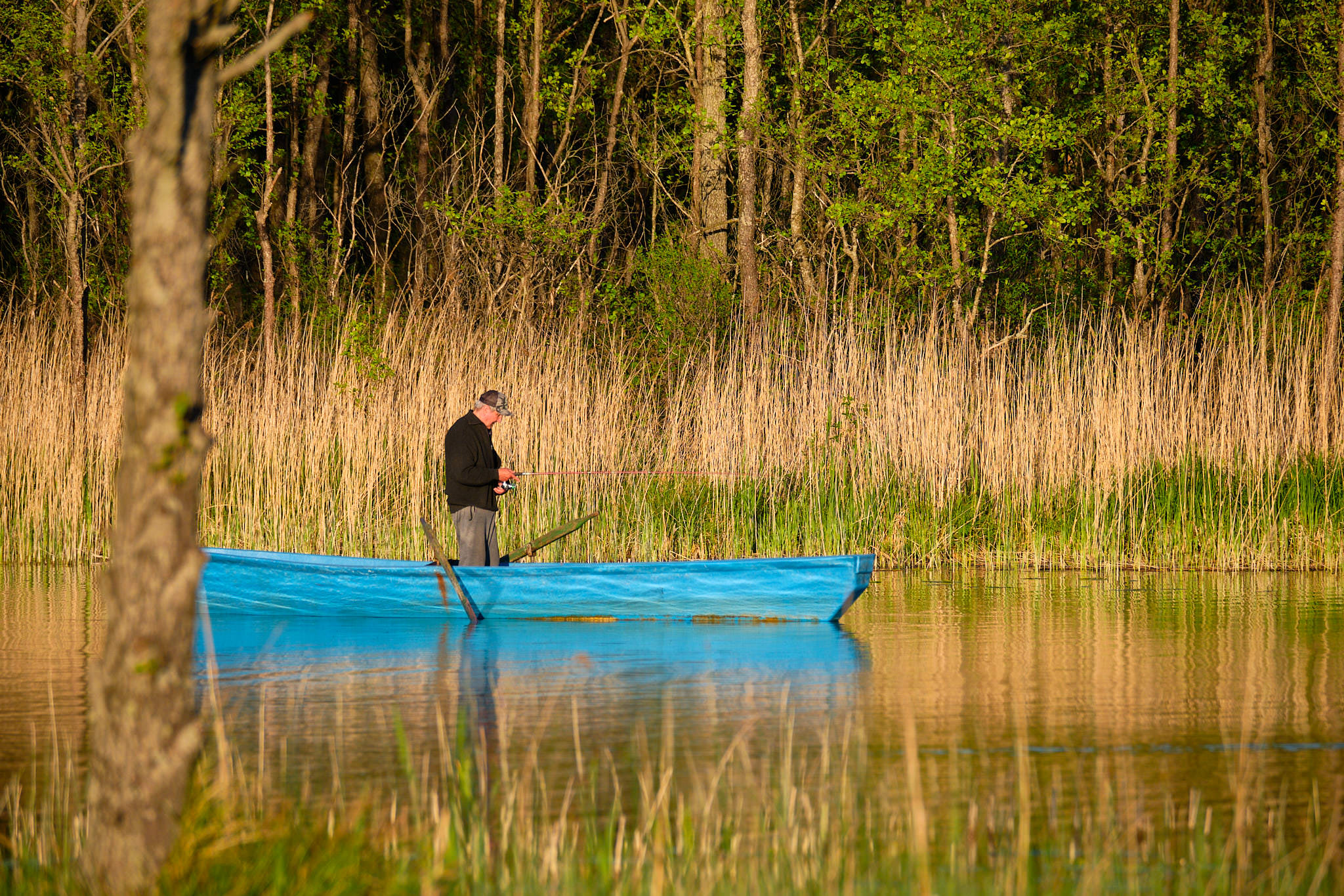 Kamedul - Polen - Poland
