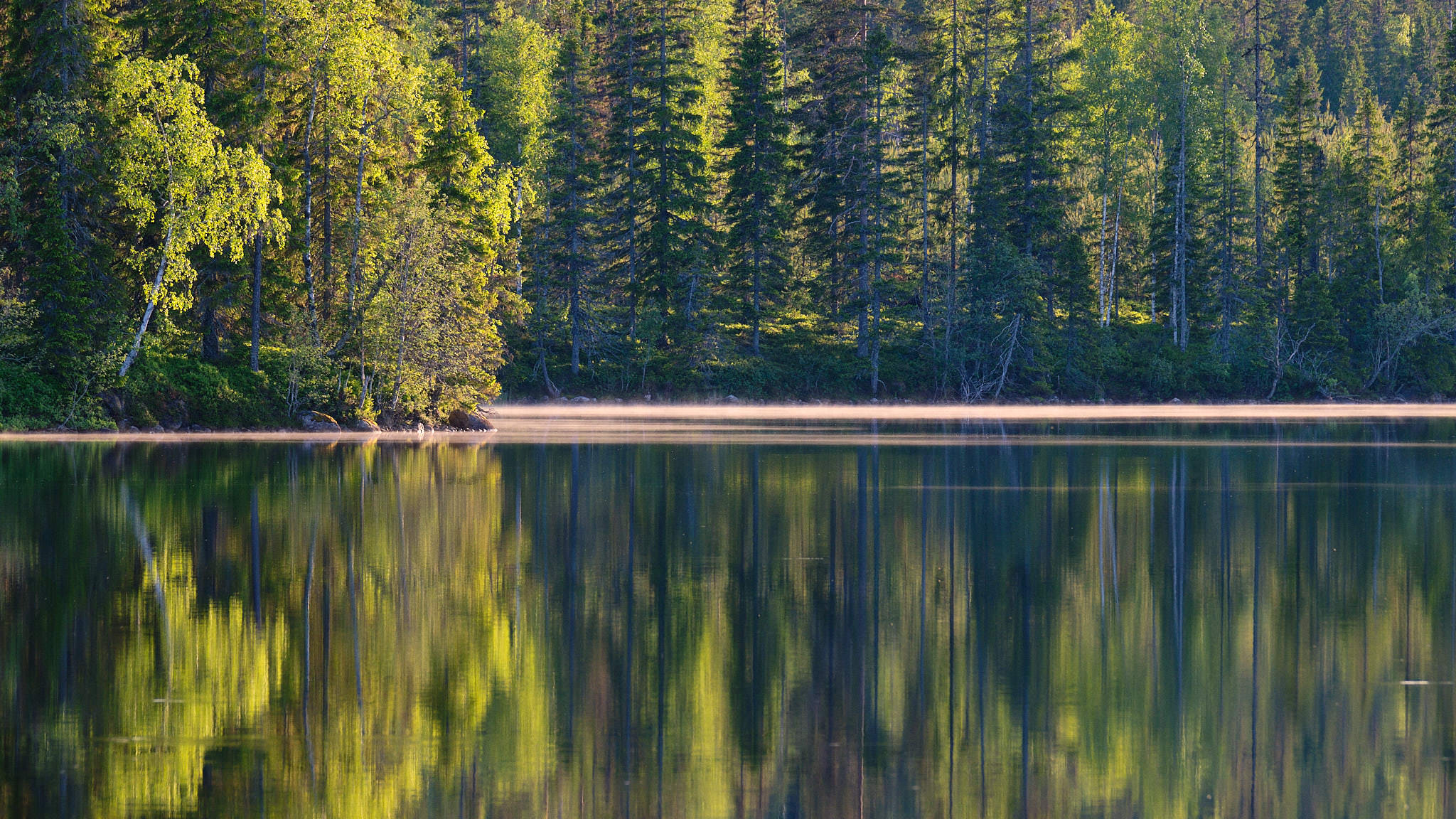 Gålsjön - Schweden - Sweden