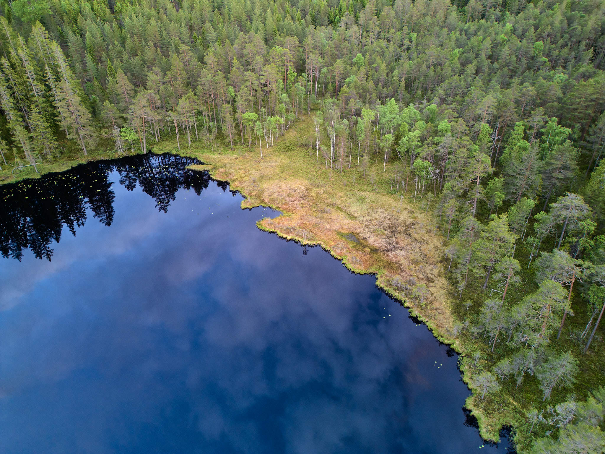 Ötjärnen - Gyttorp - Schweden - Sweden