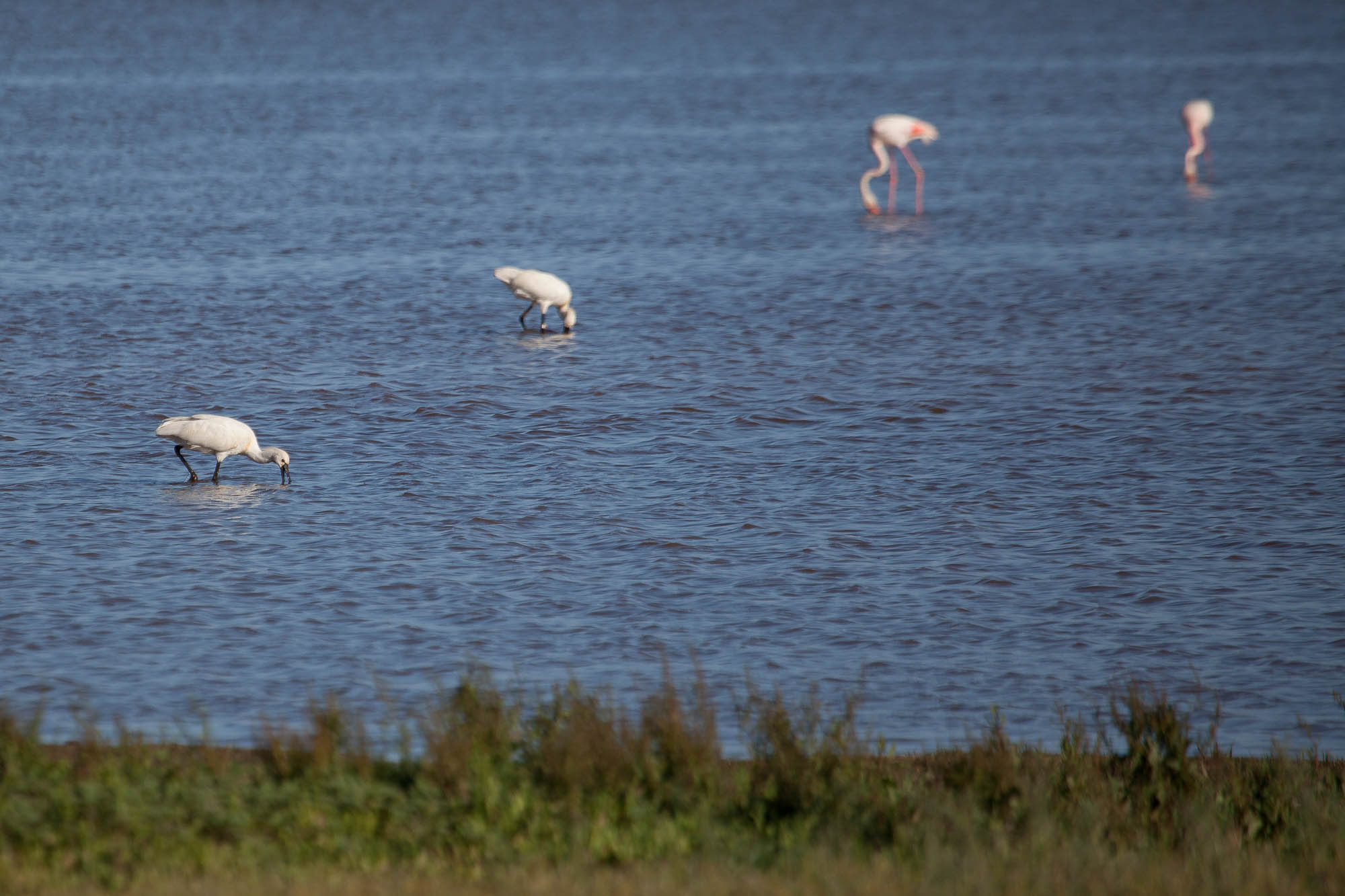 Spanien - Andalusien / Spain - Andalusia