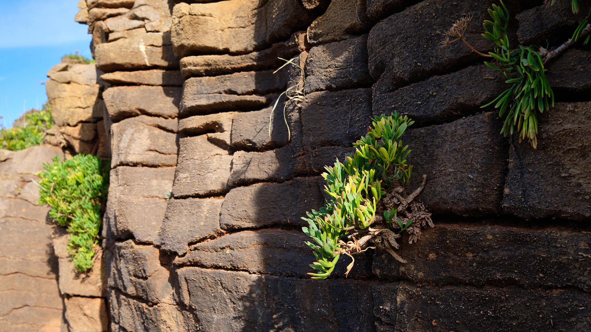 Spanien - Andalusien / Spain - Andalusia