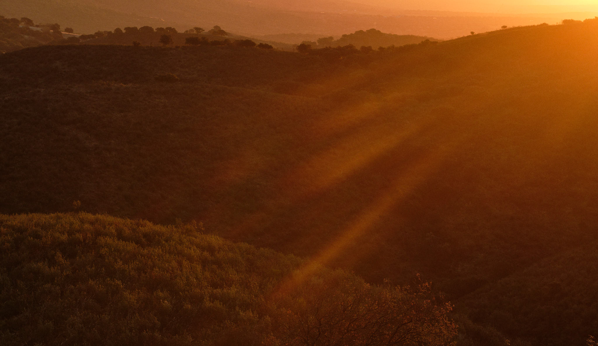 Extremadura 1908 XH13548