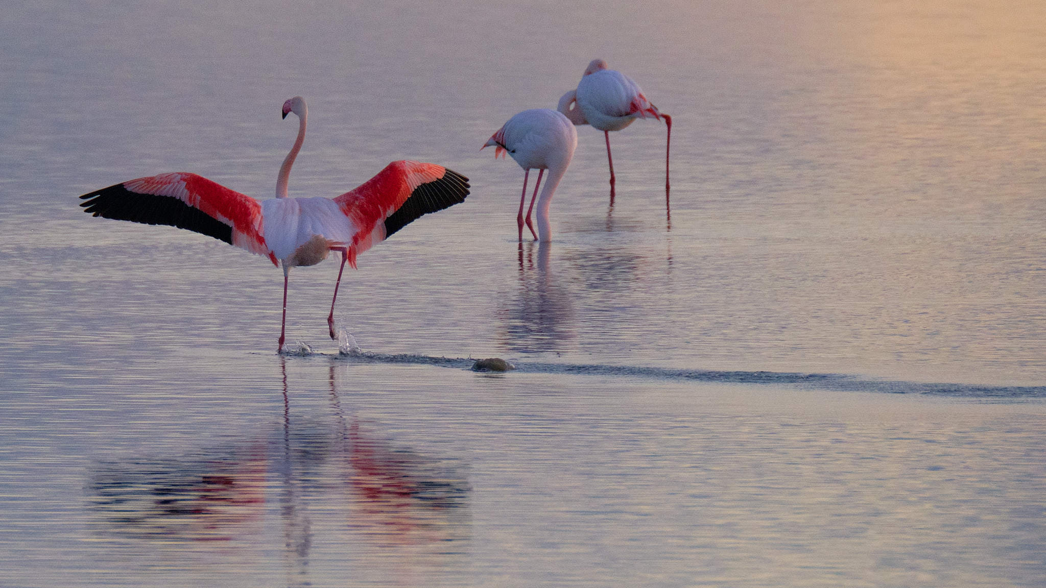 Spanien - Katalonien (Catalunya)