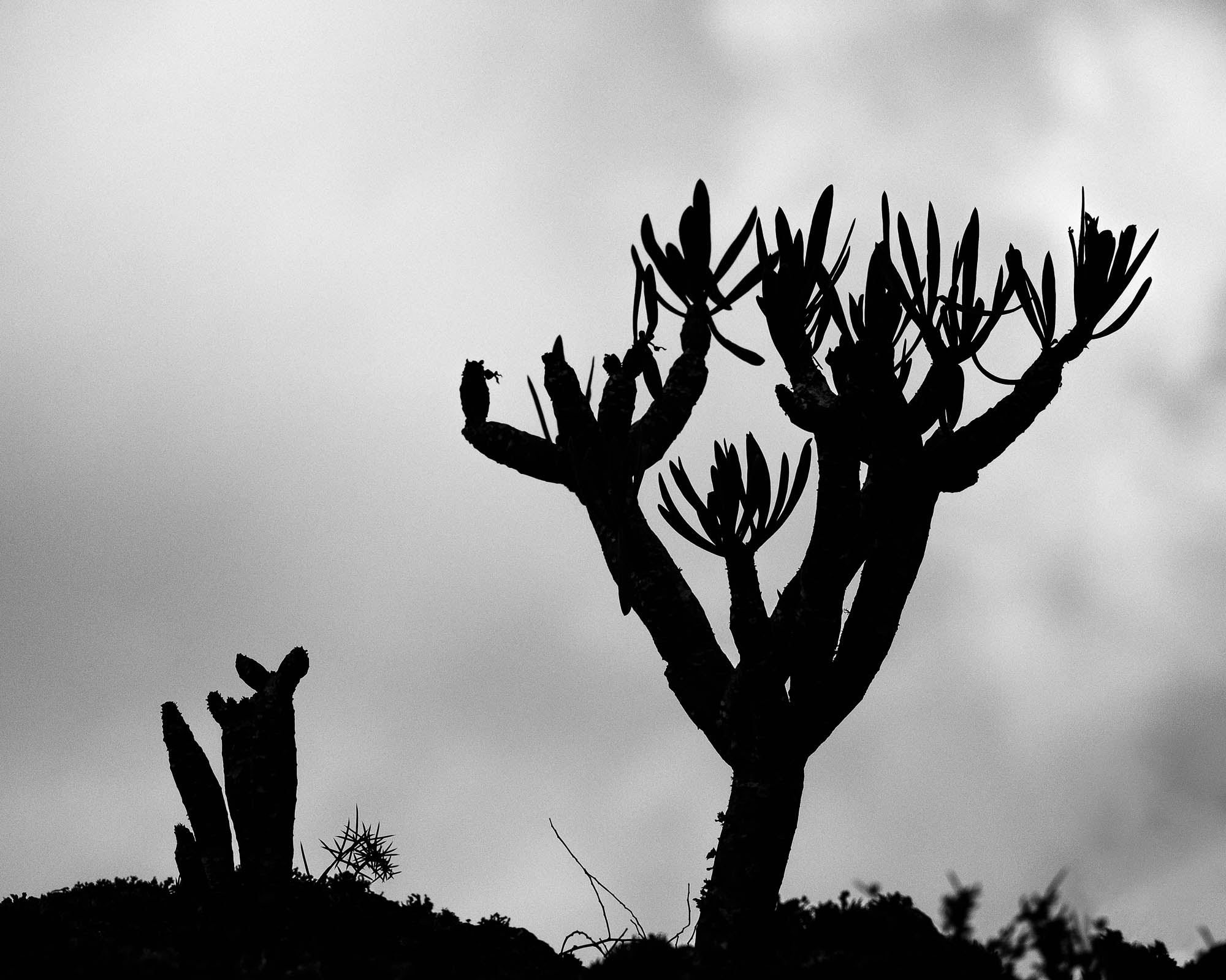Spanien - Lanzarote / Spain - Lanzarote