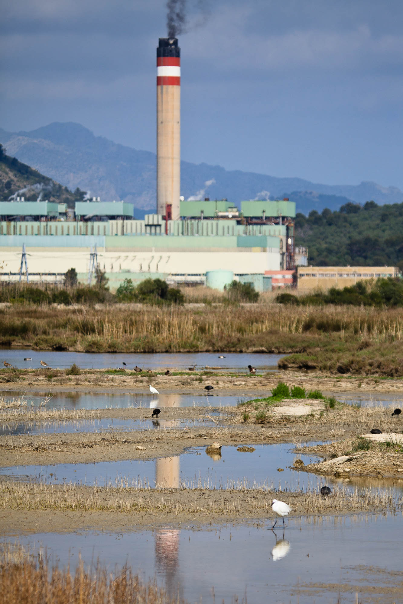 Spanien - Mallorca / Spain - Mallorca