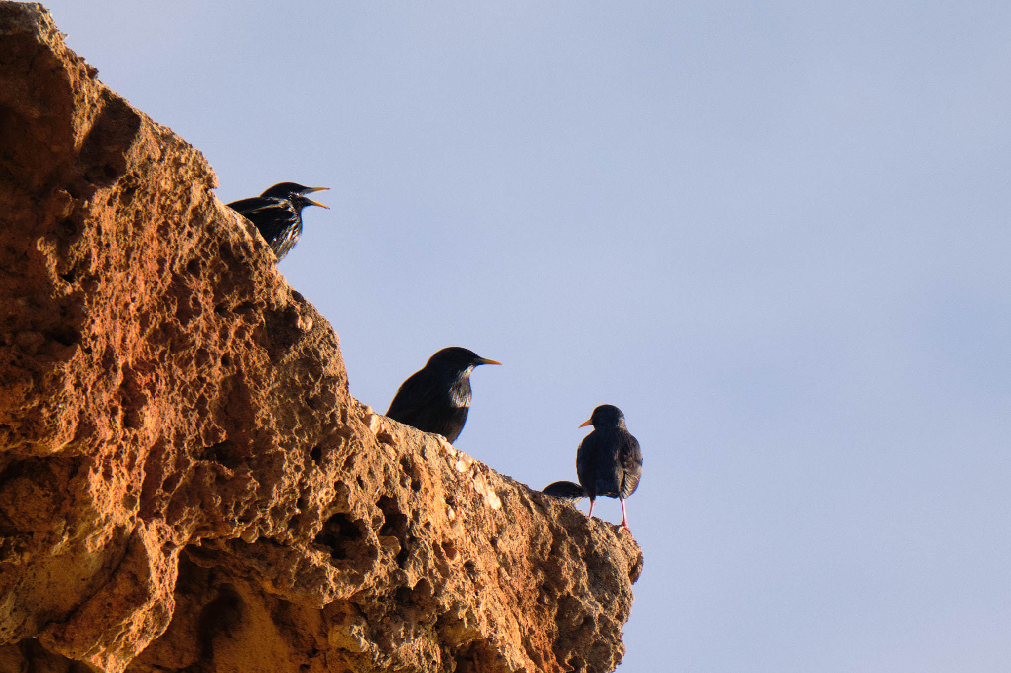 Cabo Cope - Murcia - Spanien