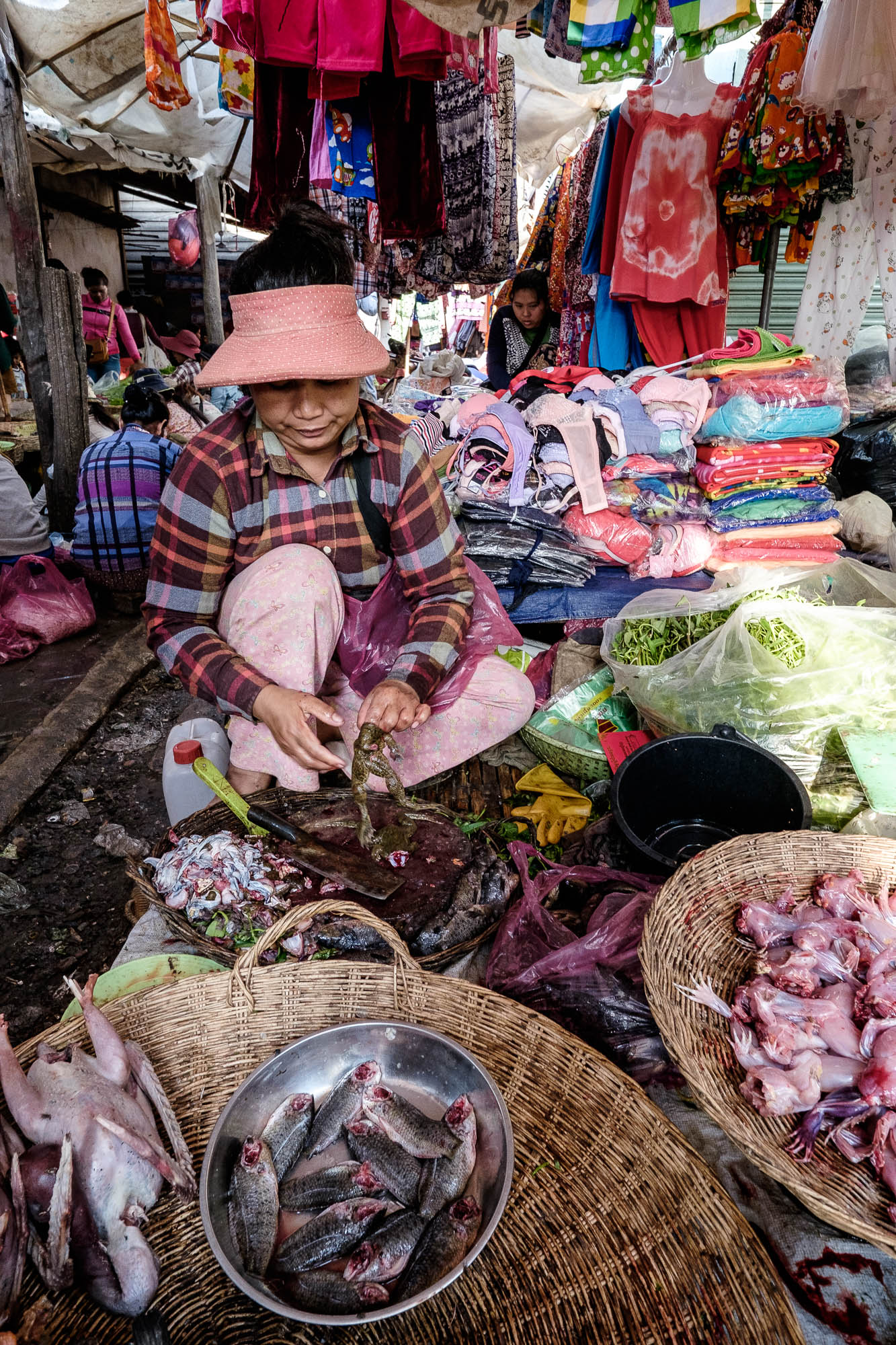 Kambodscha / Cambodia