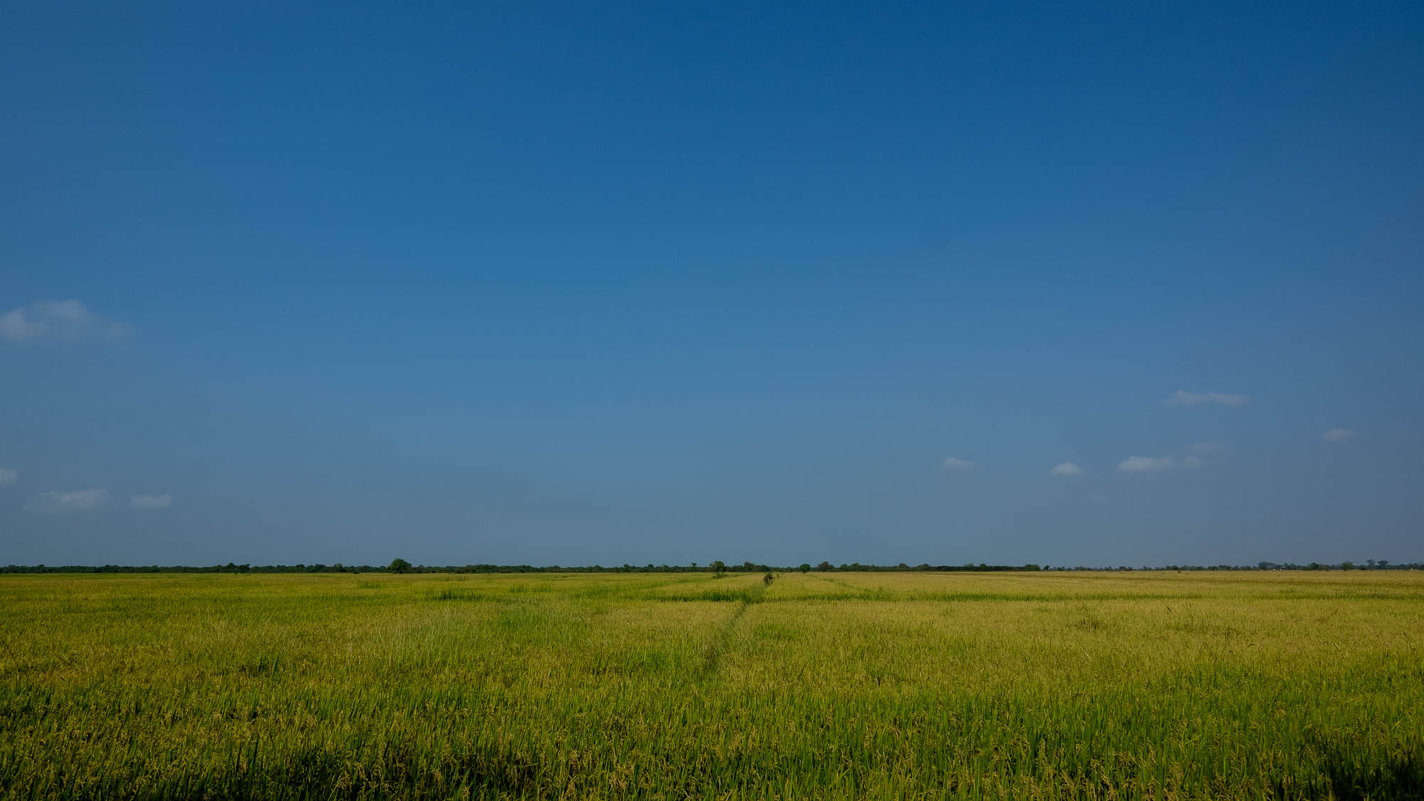 Cambodia 155