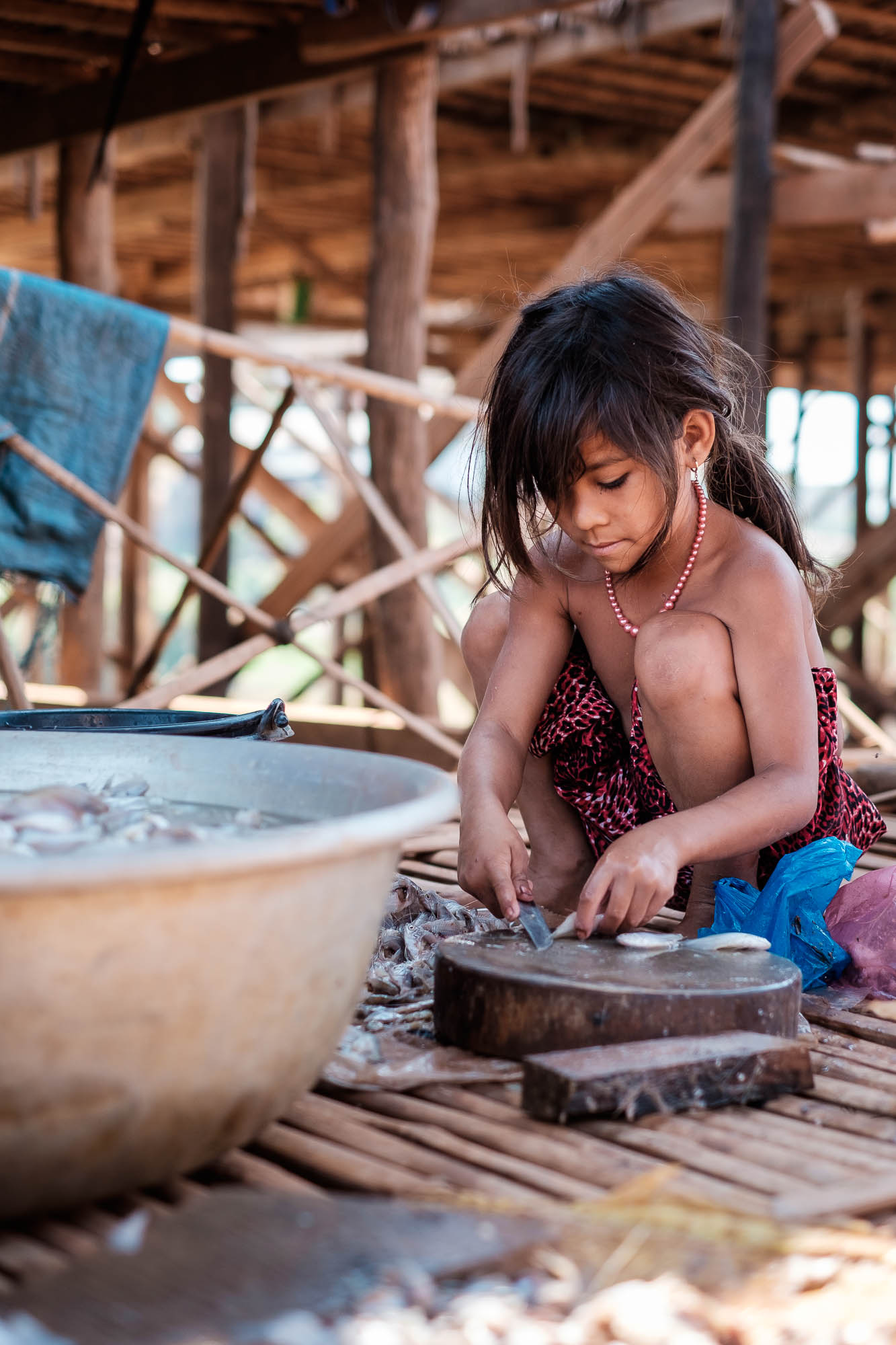 Cambodia 170