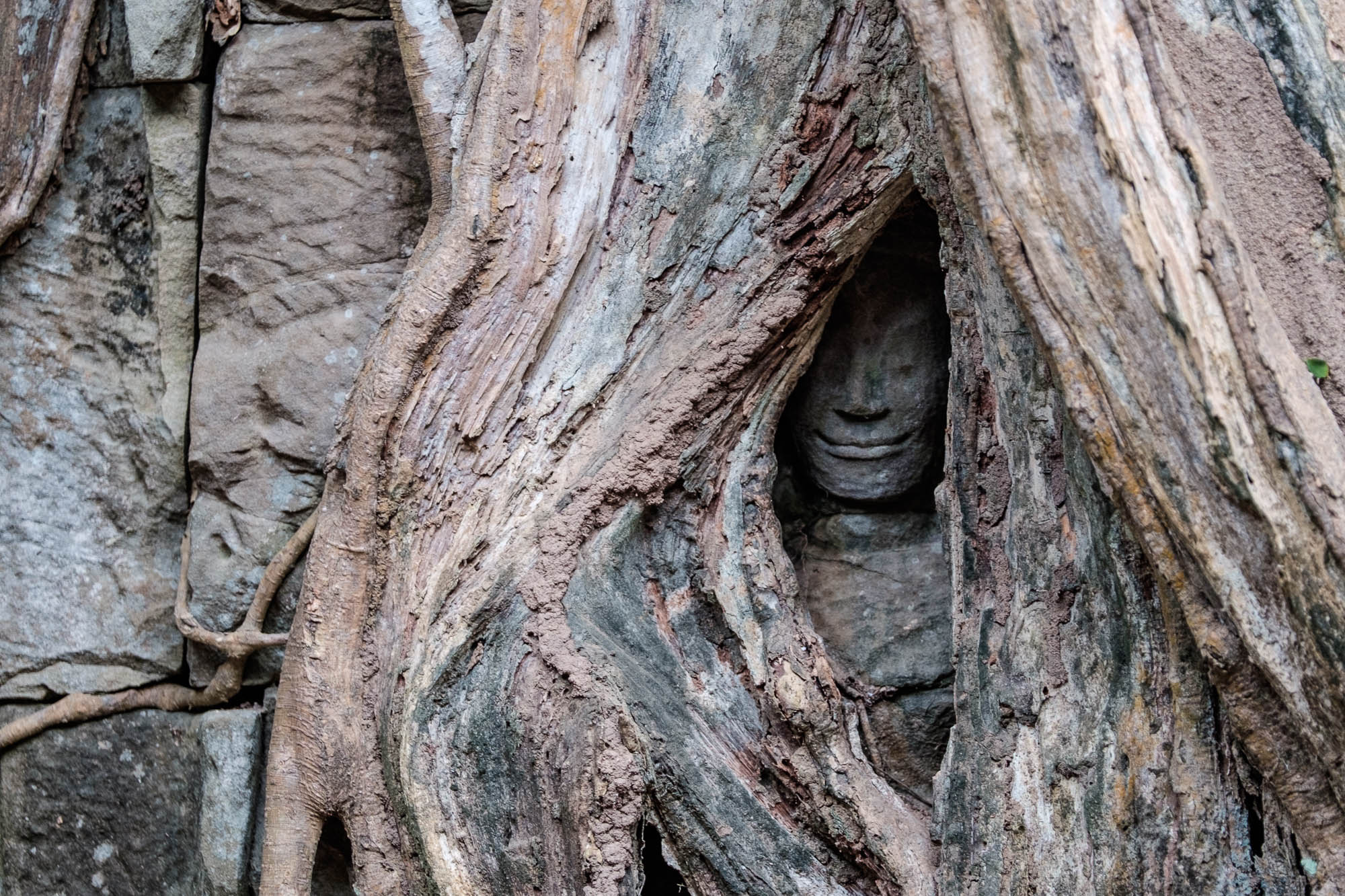 Kambodscha / Cambodia