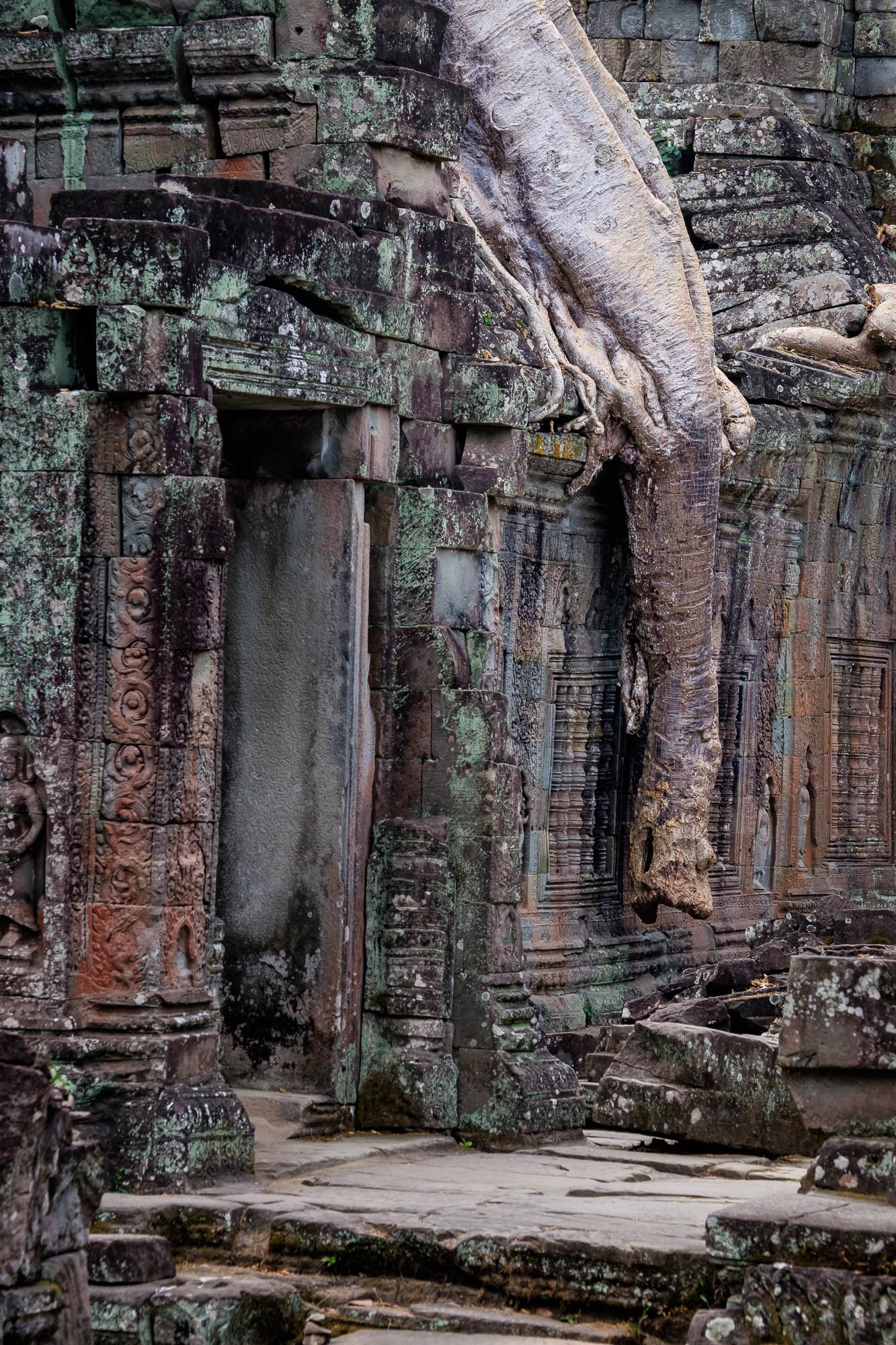 Cambodia 97